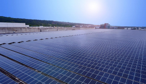 中美硅晶与PT视讯(中国区)官网光电携手战略合作