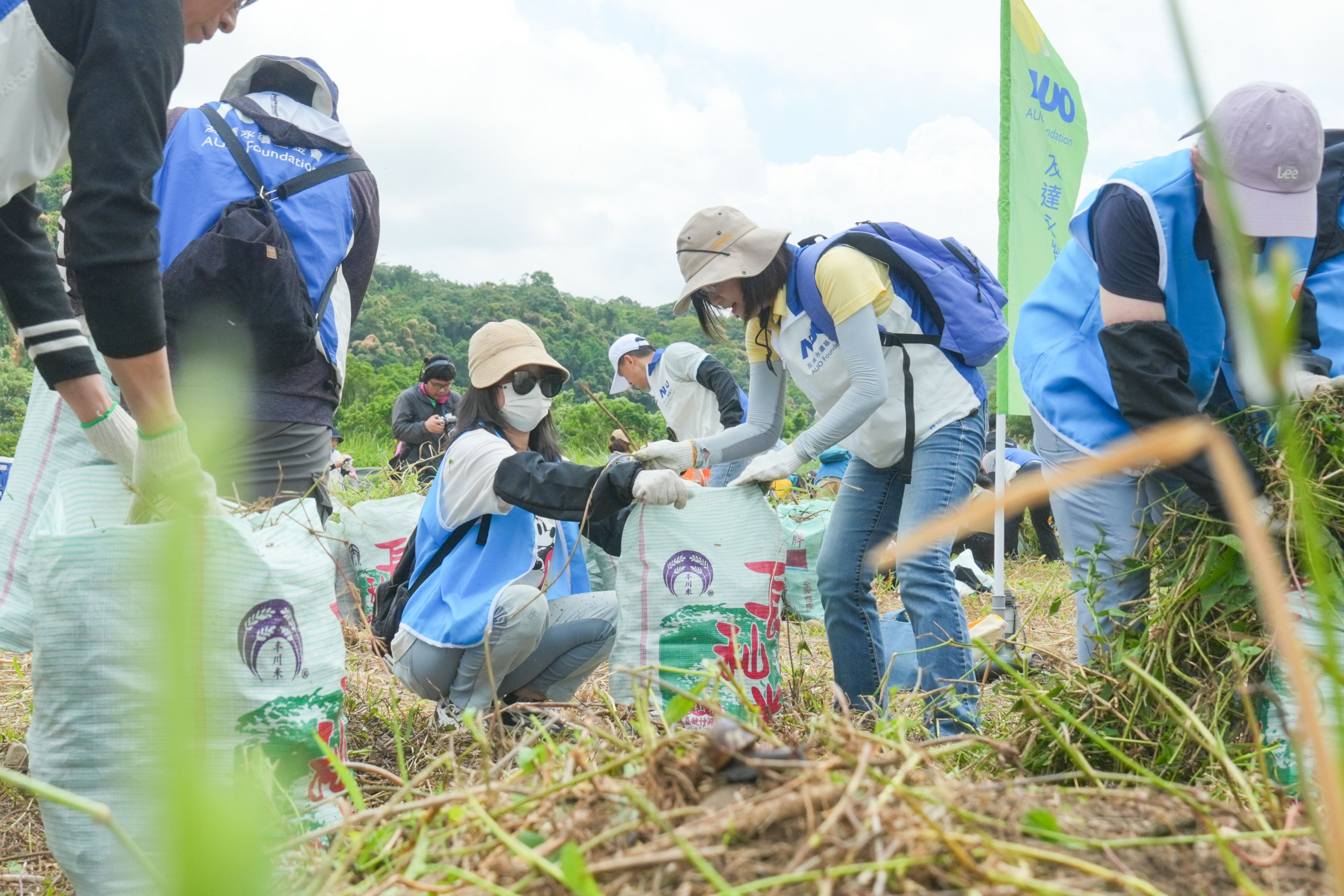 PT视讯(中国区)官网除蔓防治計畫，除了鎖定霄裡溪沿岸3.2公里移除外來入侵種小花蔓澤蘭，並進行物種與空拍調查，共記錄91科181屬239種維管束植物，顯示該區域具高度生態價值